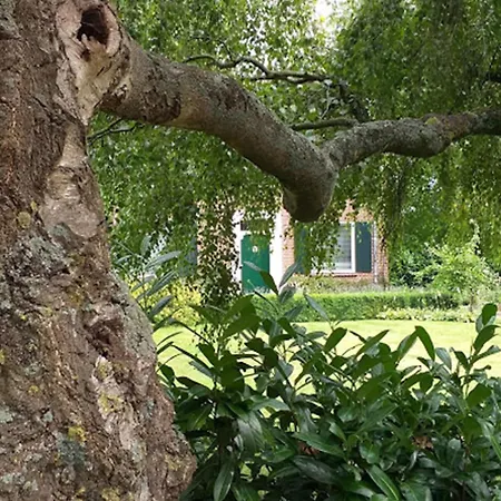 Holiday home In With Garden, Cleaning Included
